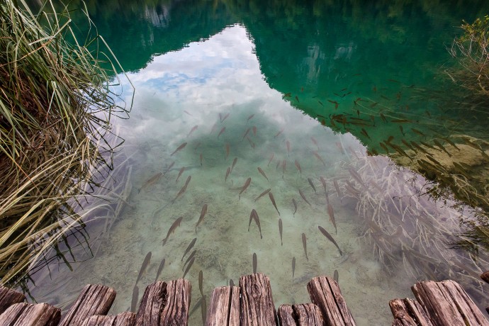Súznenie prírody, Plitvické jazerá