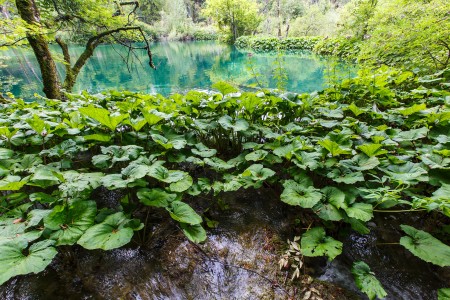 Súznenie prírody, Národný park Plitvické jazerá, Chorvátsko