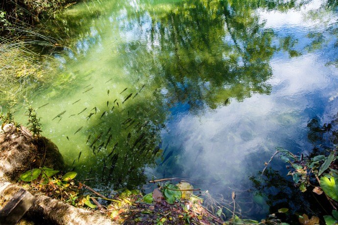 Súznenie prírody II, Národný park Krka | Chorvátsko