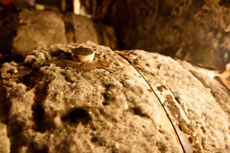 Tokajské pivnice Ostrožovič, Veľká Tŕňa