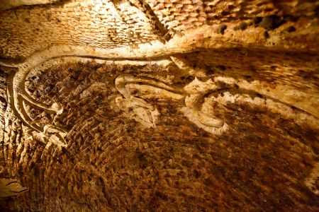 Tokajské pivnice Ostrožovič, Veľká Tŕňa