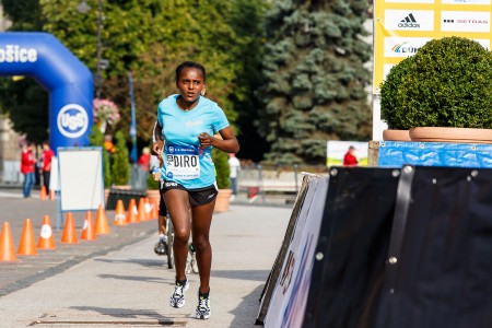 Medzinárodný maratón mieru 2015, Košice