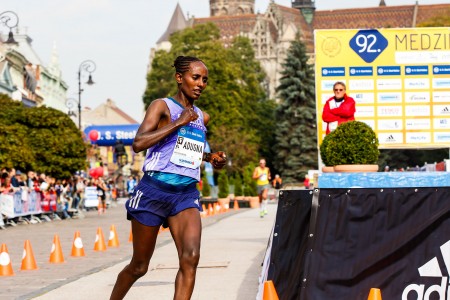 Medzinárodný maratón mieru 2015, Košice