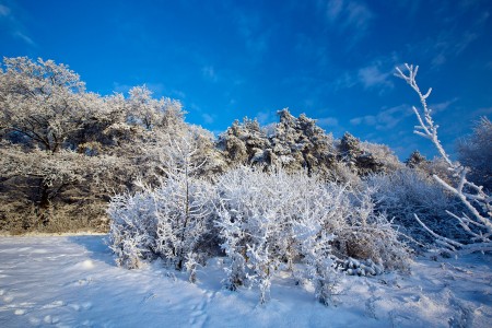 Zimkovo, Baška