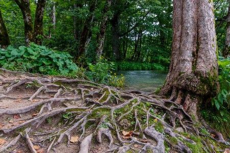 Súznenie prírody, Národný park Plitvické jazerá, Chorvátsko