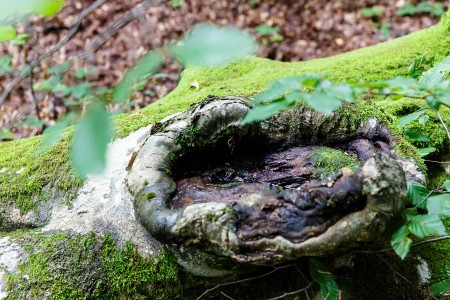 Súznenie prírody, Národný park Plitvické jazerá, Chorvátsko