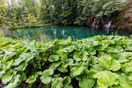 Súznenie prírody, Národný park Plitvické jazerá, Chorvátsko