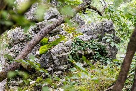 Súznenie prírody, Národný park Plitvické jazerá, Chorvátsko