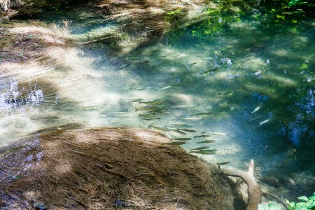 Súznenie prírody II, Národný park Krka, Chorvátsko