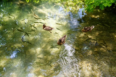 Súznenie prírody II, Národný park Krka, Chorvátsko