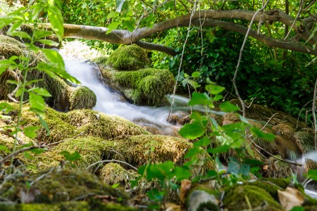 Súznenie prírody II, Národný park Krka, Chorvátsko