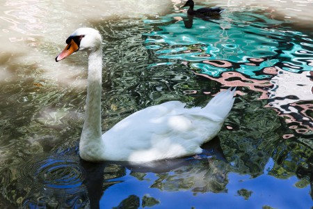 Súznenie prírody II, Národný park Krka, Chorvátsko