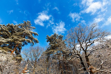 Zimkovo II, Baška